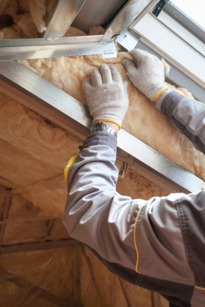 Best Residential Insulation in Davison, MI