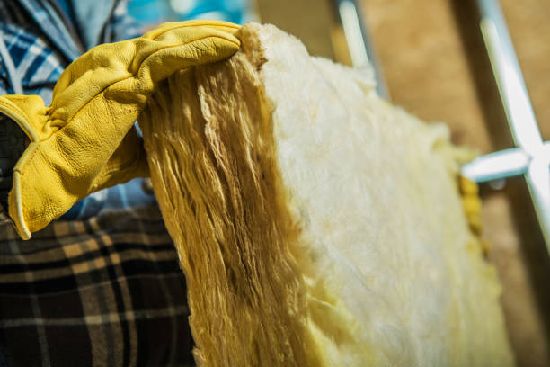 Best Insulation Maintenance and Repair in Davison, MI